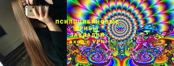 стаф Бугульма