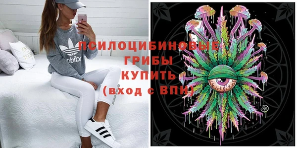 экстази Богородицк