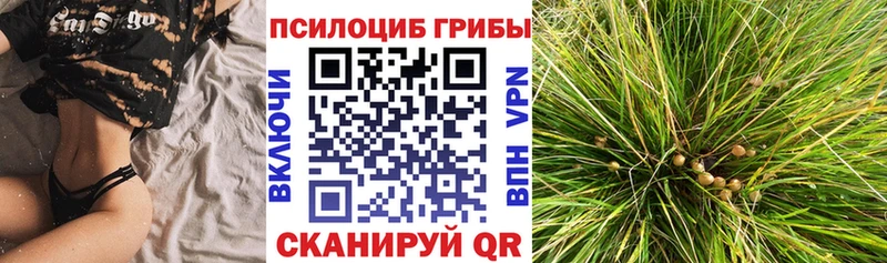 Псилоцибиновые грибы Cubensis  Облучье 