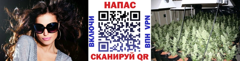 где купить   Облучье  МЕГА ONION  Бошки Шишки Bruce Banner 